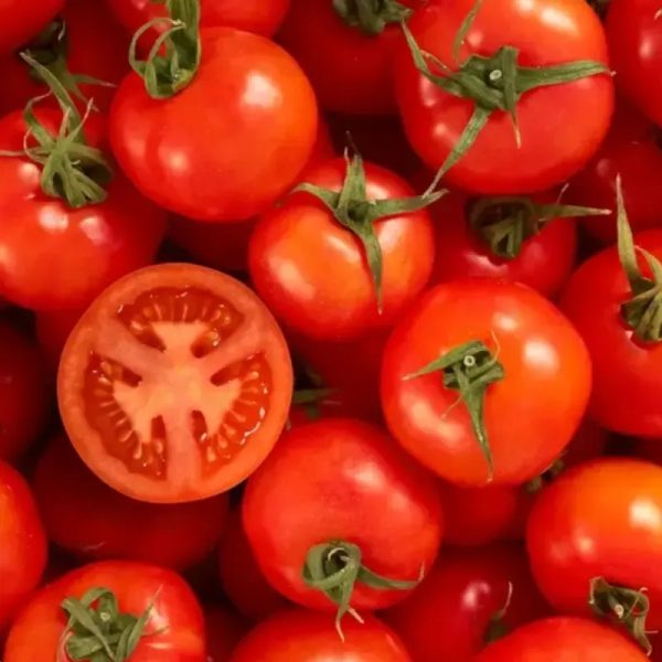 Tomate