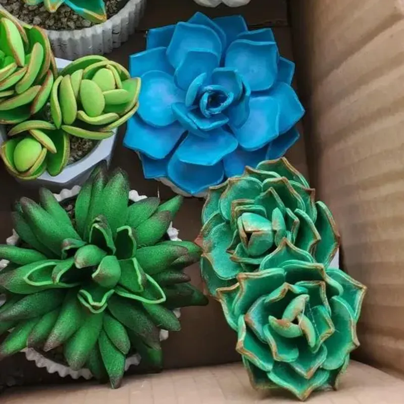 Suculentas de foami