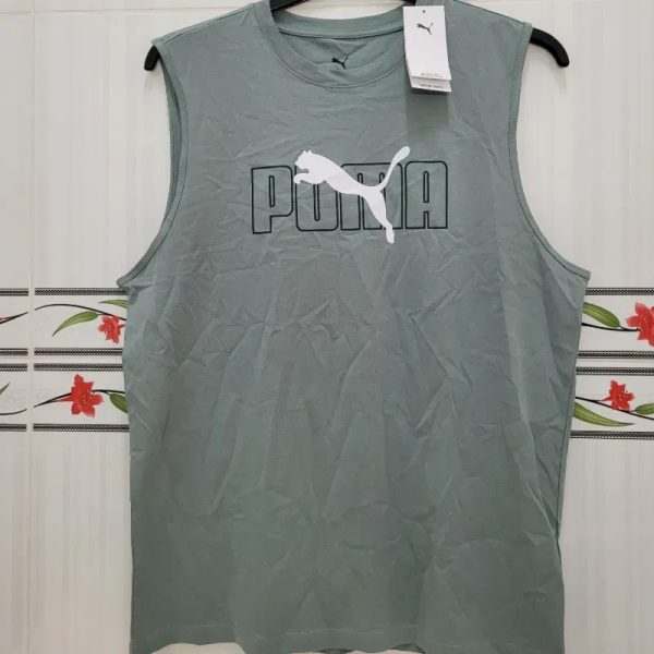Desmangado Puma