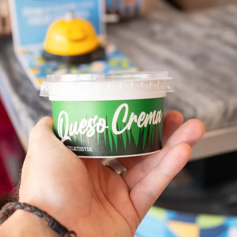 Queso crema Santa Ana 225g