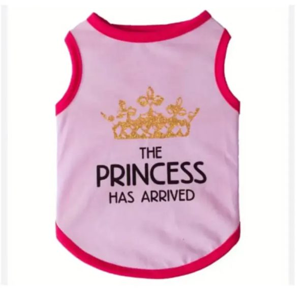 BLUSA PRINCESS