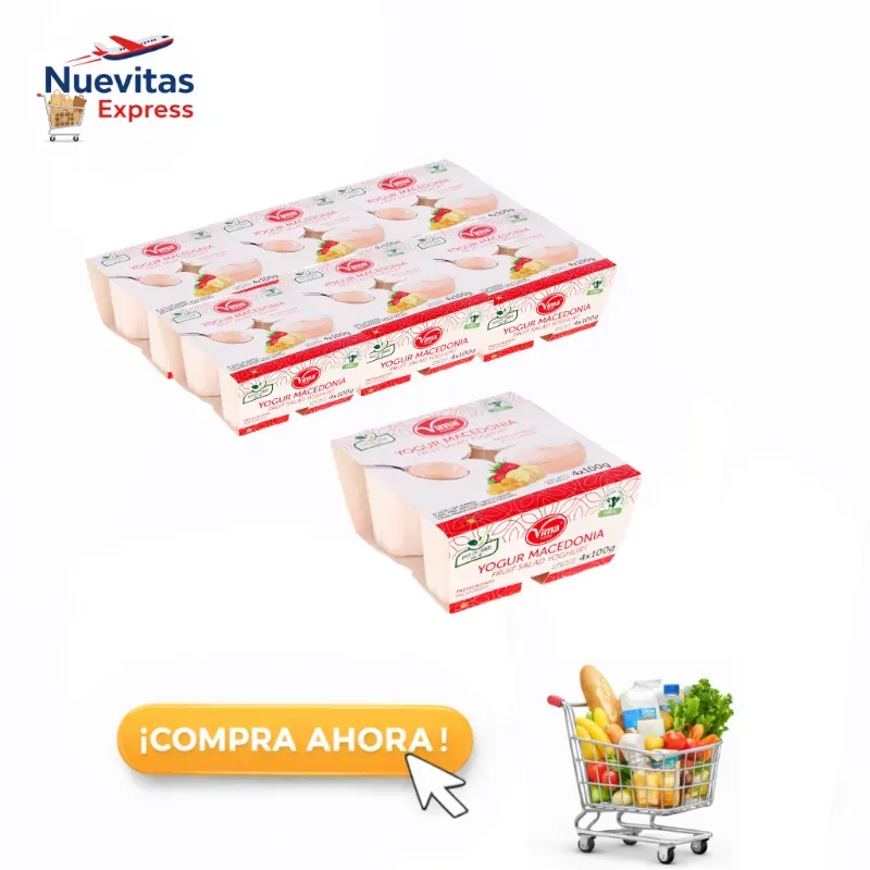 Caja de 24 Yogurt de Macedonia