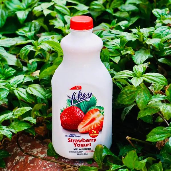 Yogurt Strawberry