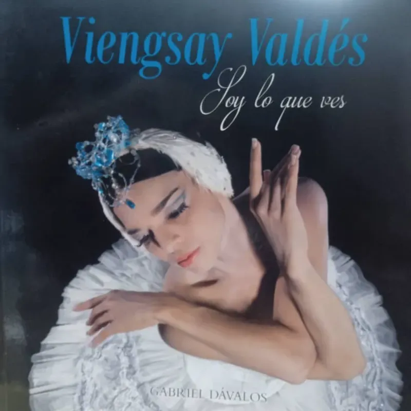 Libros (Bazar Mi Ilusión)