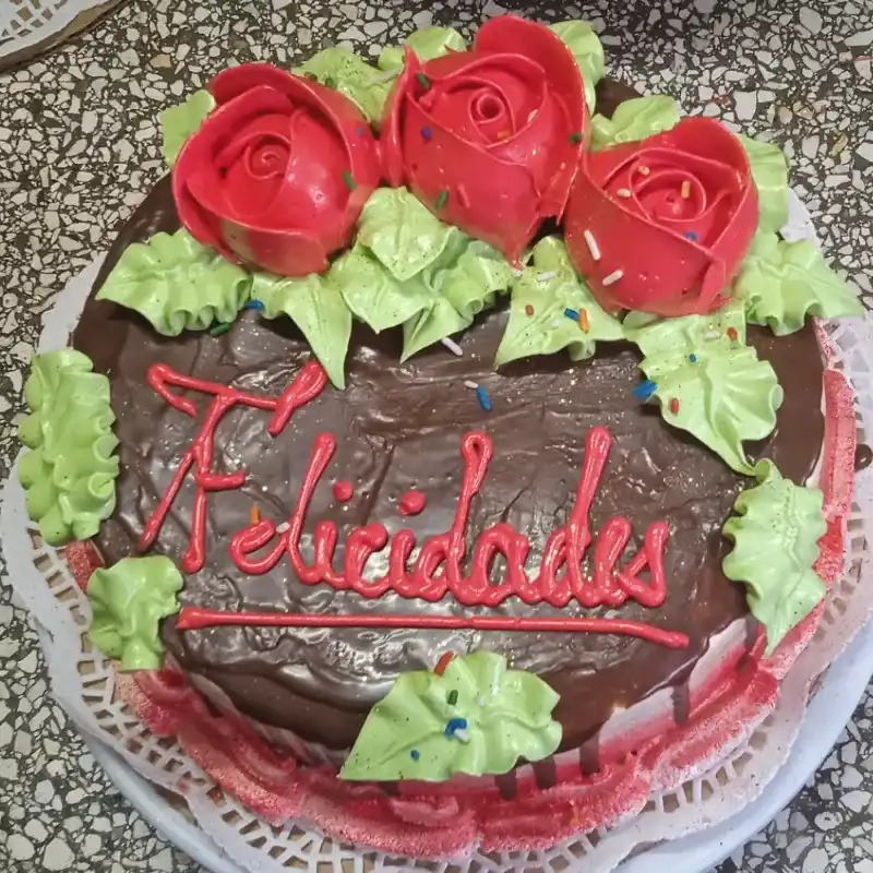 Sencillos con cobertura de chocolate