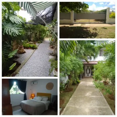 Biplanta en bajos en atabey ( me ajusto)