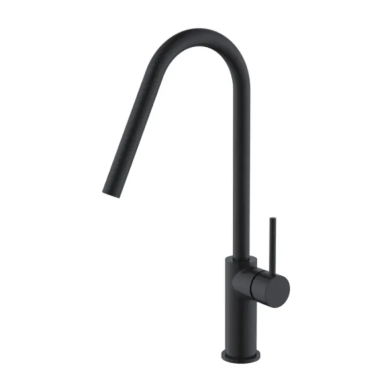 Grifo monomando para cocina color negro 429110511