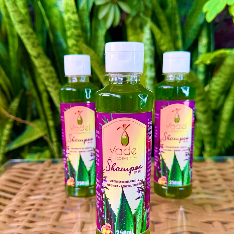 Champú sin Sal de Aloe Vera, Romero y Jengibre 250 ml