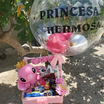 Cajita regalo para niñas(peluche y color varían)