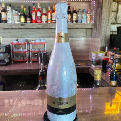 Vino Vallformosa Ice