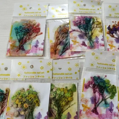 Estuche Naturaleza Muerta