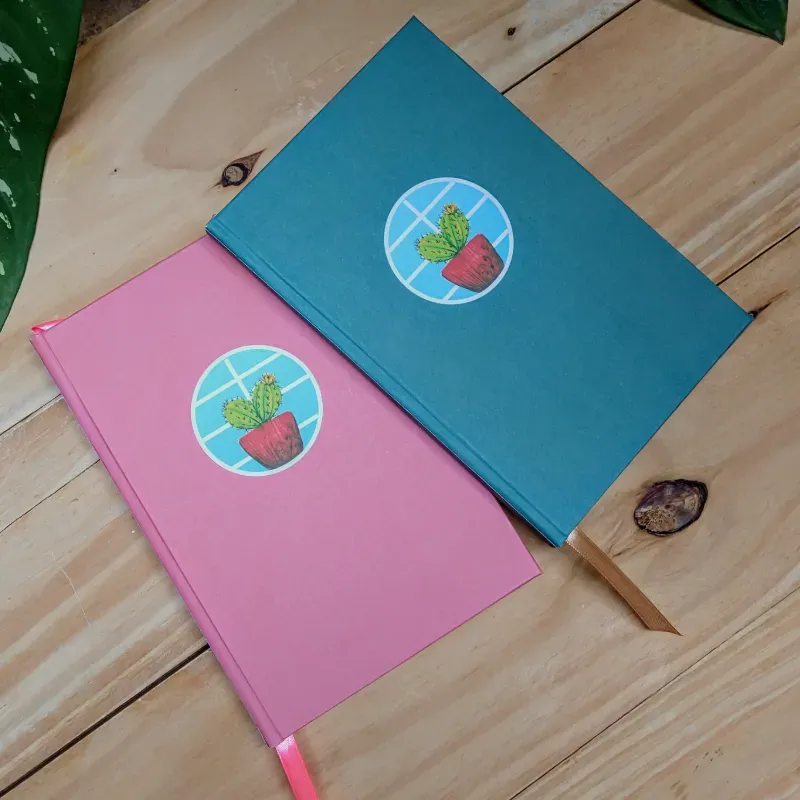 Diseño de cactus en una ventana