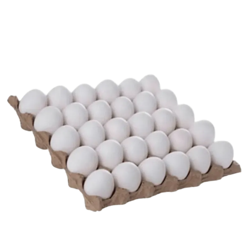 Huevos (12 USD)