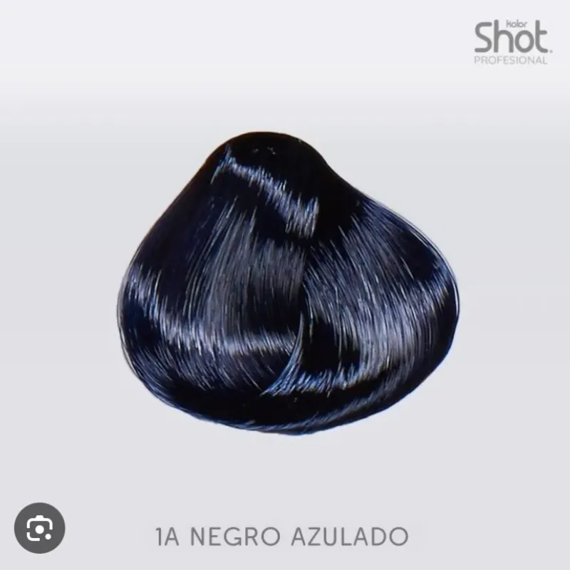 Tinte Shot 1A negro azulado