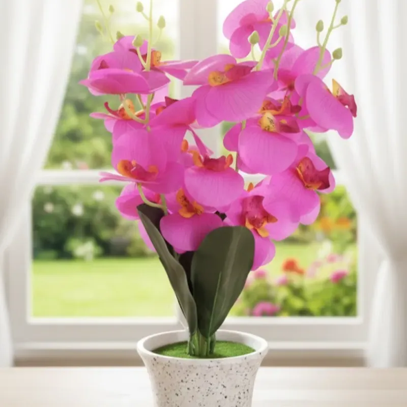 Orquídeas con maceta