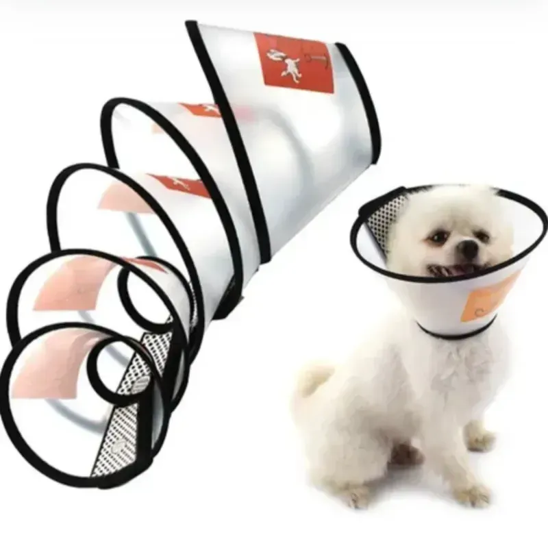 TALLA 4 (26-33 CM) COLLAR ISABELINO