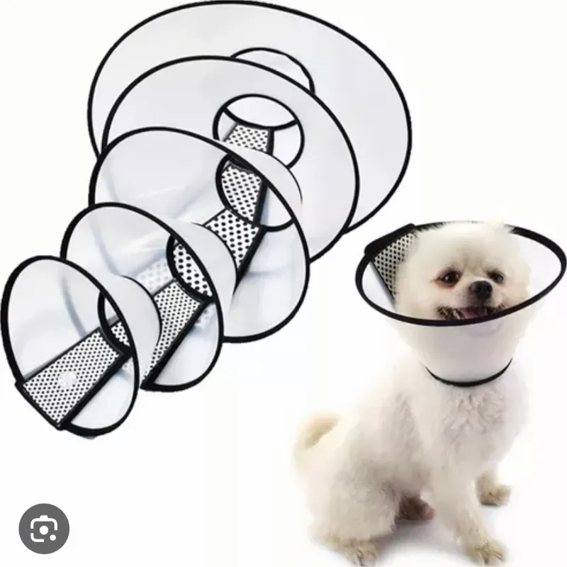 Collar Isabelino talla 2