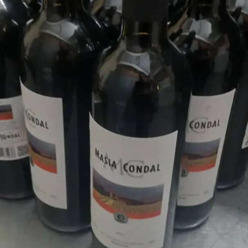 Copa Vino Tinto (Masla Condal)