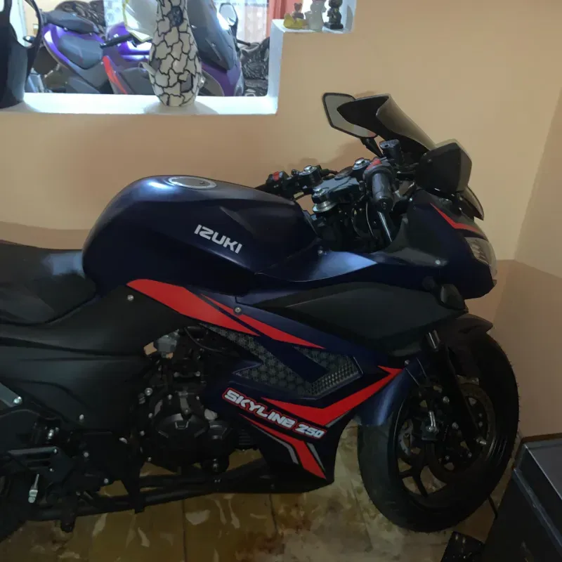 Skyline 250 cc