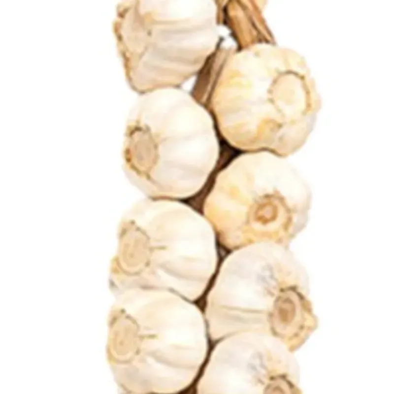 Ajo