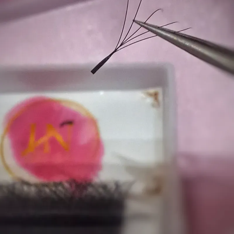 Extensiones de Pestañas 5D Mix Curva D