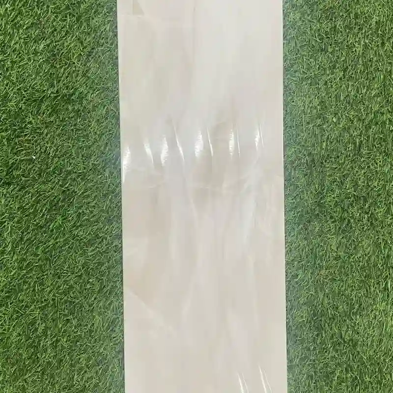 Losa de cerámica 25x75