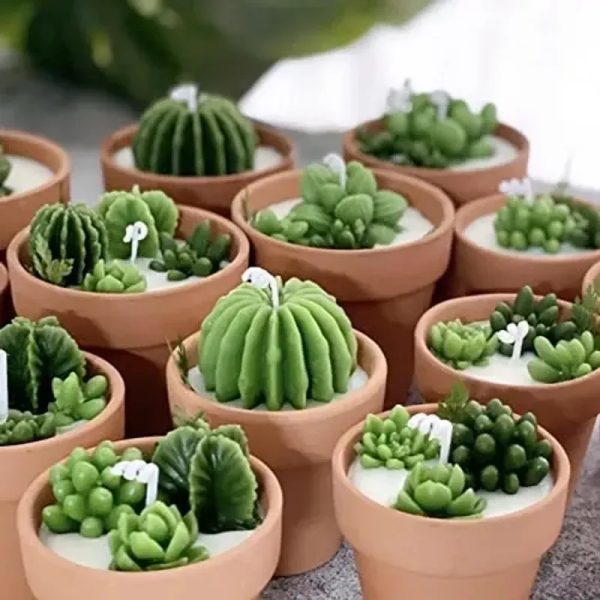 Pote Alto Jardín
