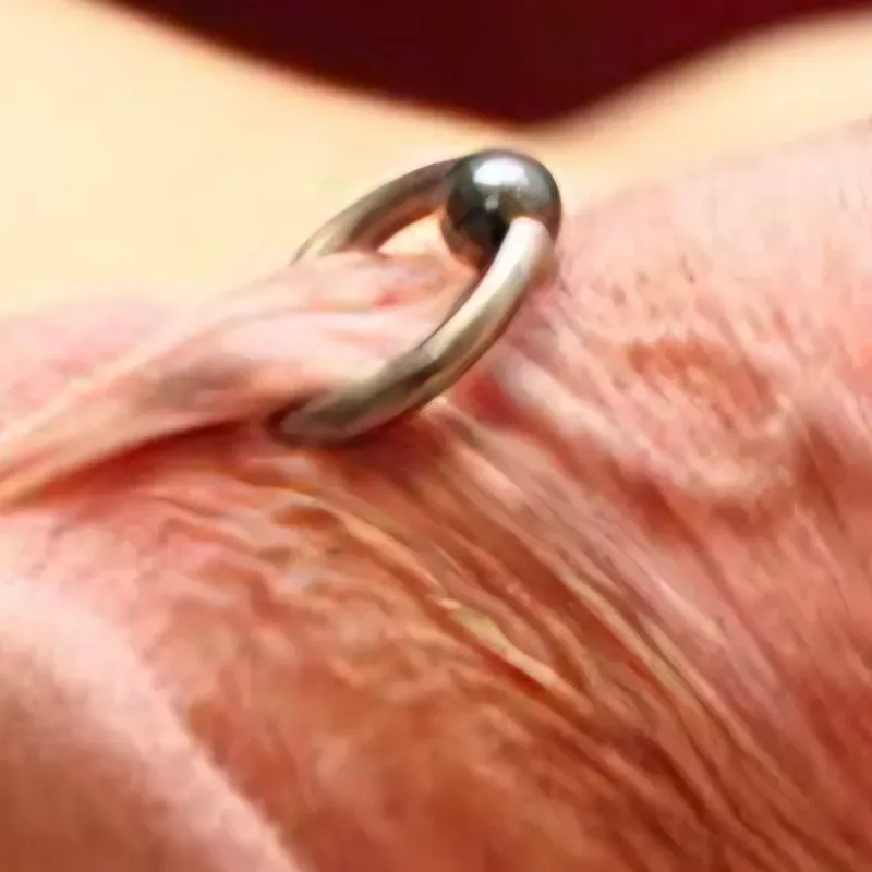 Prince Albert / Frenillo (masculino)