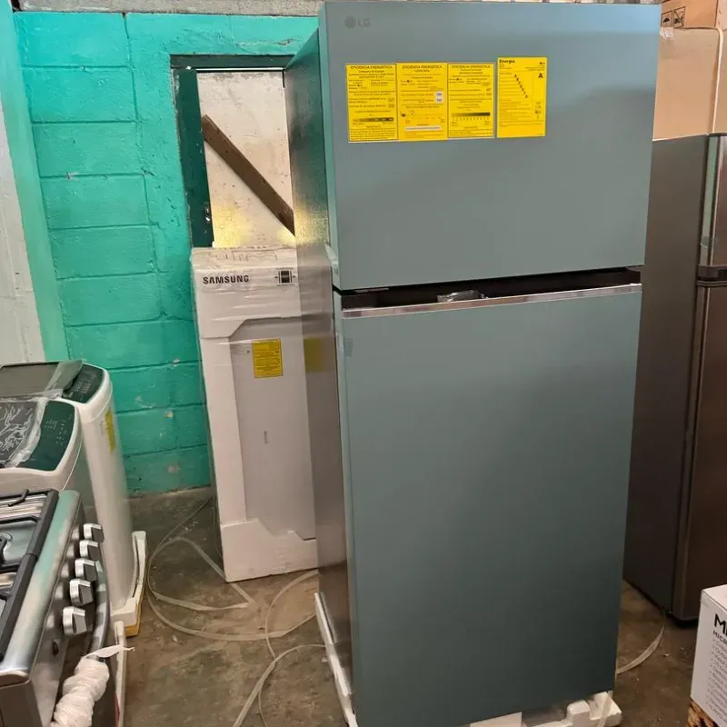 Refrigerador (LG) de 13 pies