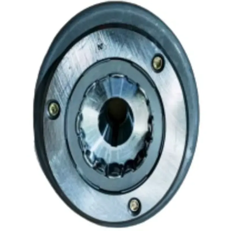 Conjunto rotor del magneto CG125D (12V 11 polos, embrague libre de cuña) LT320-250CC LAITUNING