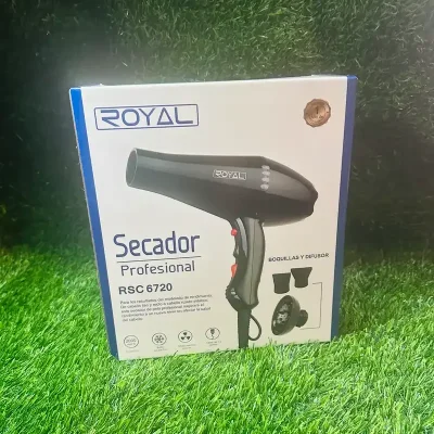 Secador Profecional Royal