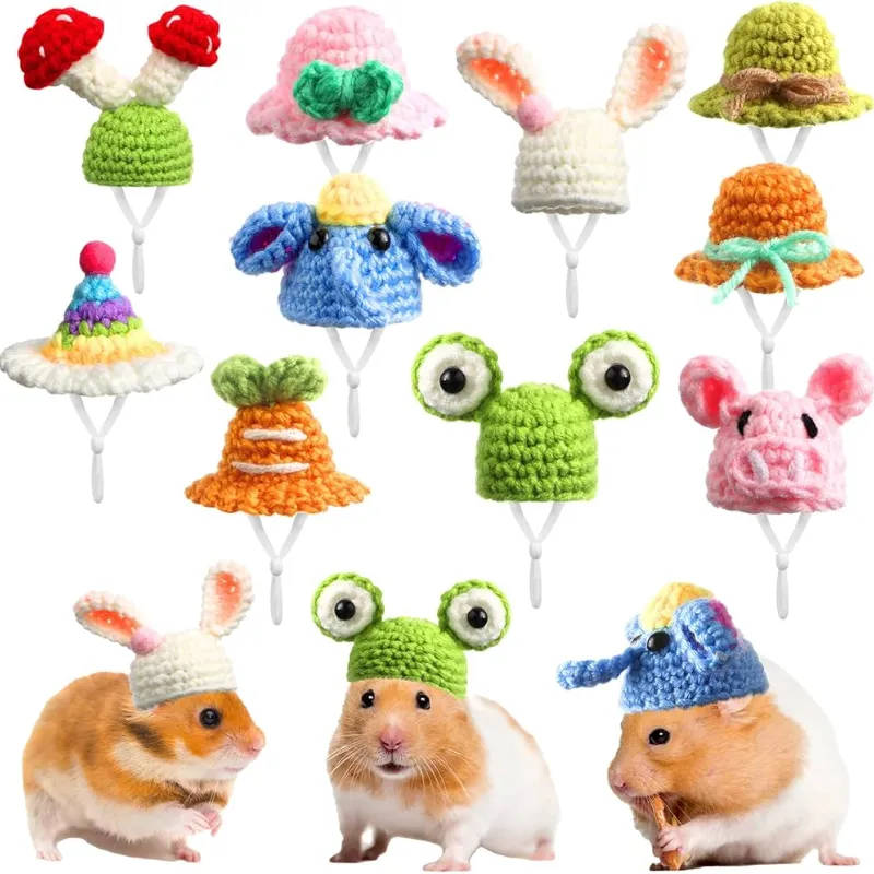 Gorro y Ropa para Hámster