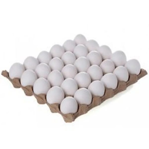 CARTON DE HUEVOS