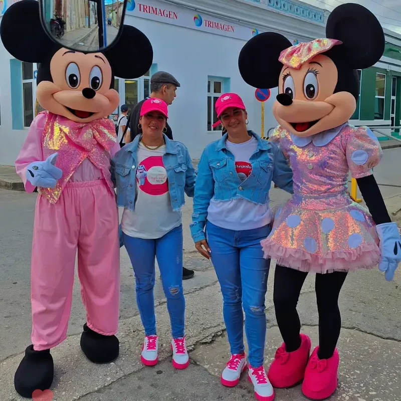 Minnie Mouse y Mickey rosado 