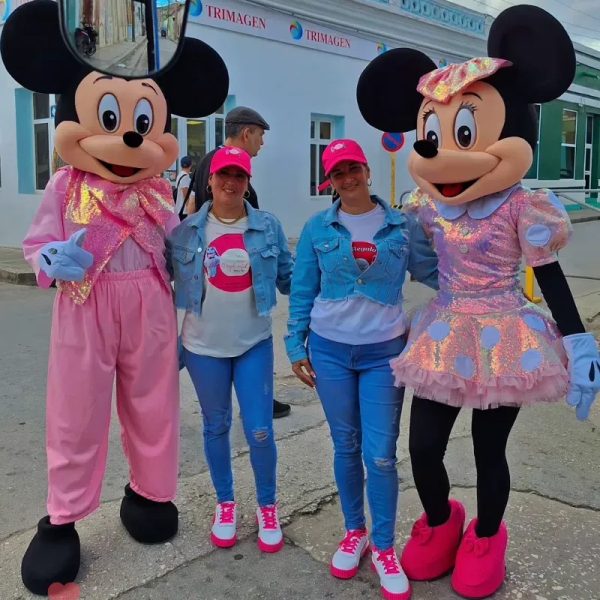 Minnie Mouse y Mickey rosado 