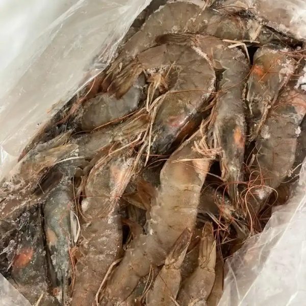 Camarón entero 1lb