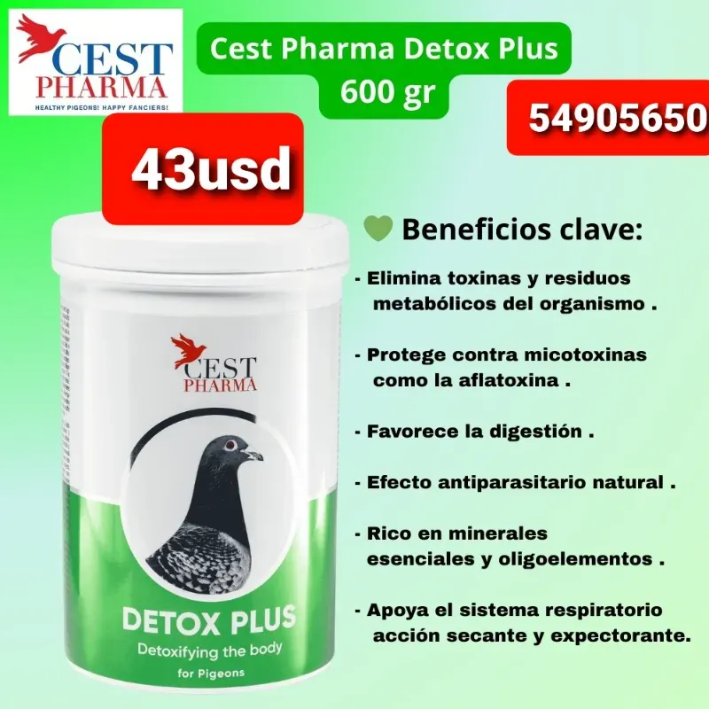 Detox plus