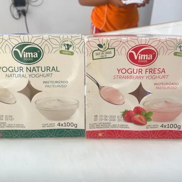 Yogurt de vasito