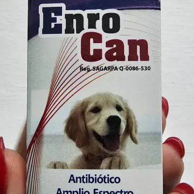 ENROFLOXACINA, ACIDO CLAVULÁNICO (ENROCAN)
