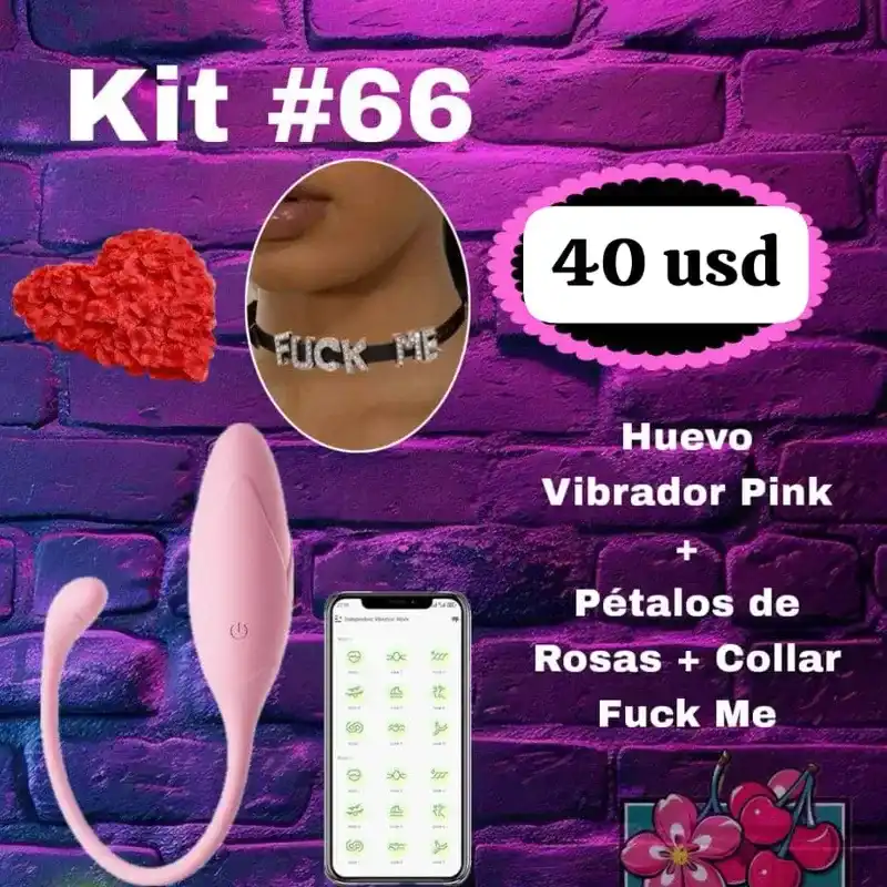 Kit #66