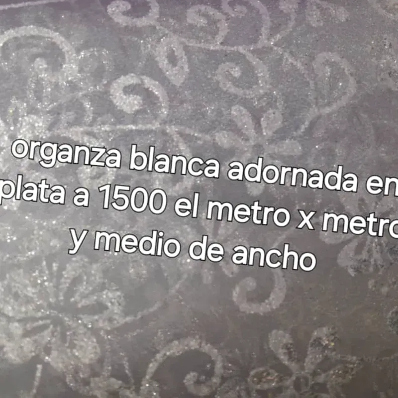 Organza blanca adornada  en plata