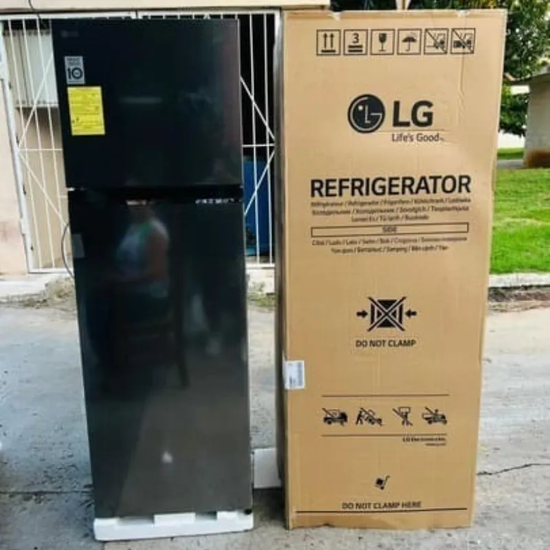 Refrigerador LG 10 Pies