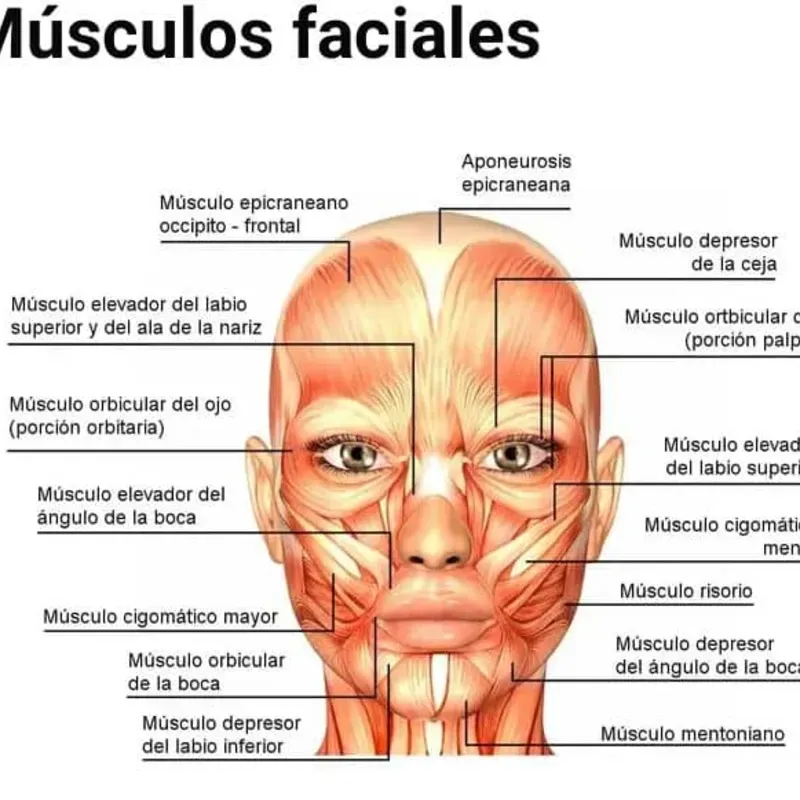 Curso Tóxina Botulínica