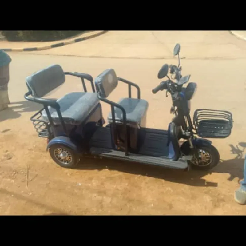 Triciclos eléctricos Marca Raly