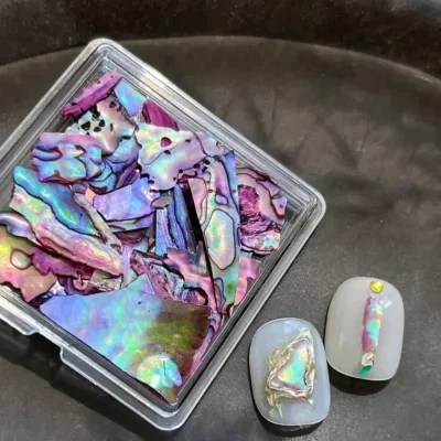 Estuche Concha Nácar Varios Colores