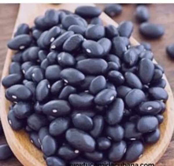 Frijol negro
