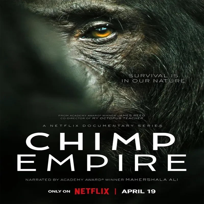 Chimp Empire (Temporada 1) [4 Cap]