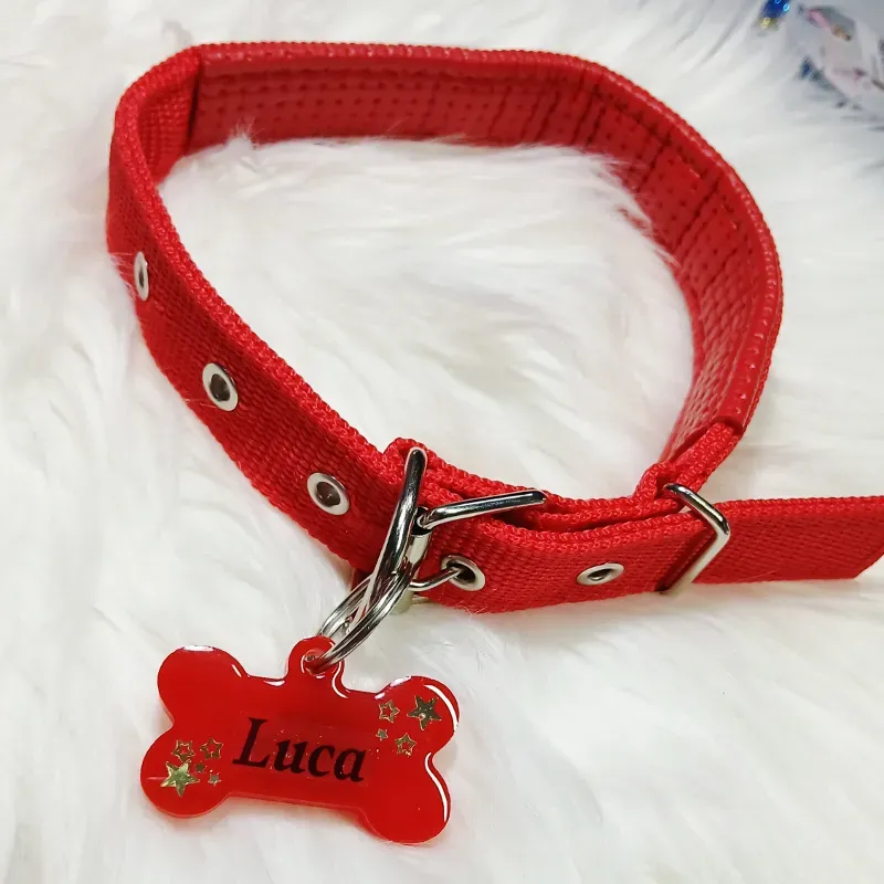 Collares para mascotas Grandes