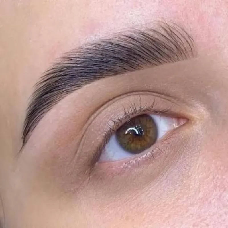 Curso Laminado de Cejas