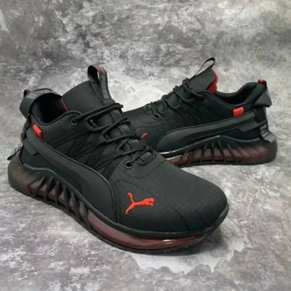 Puma cell